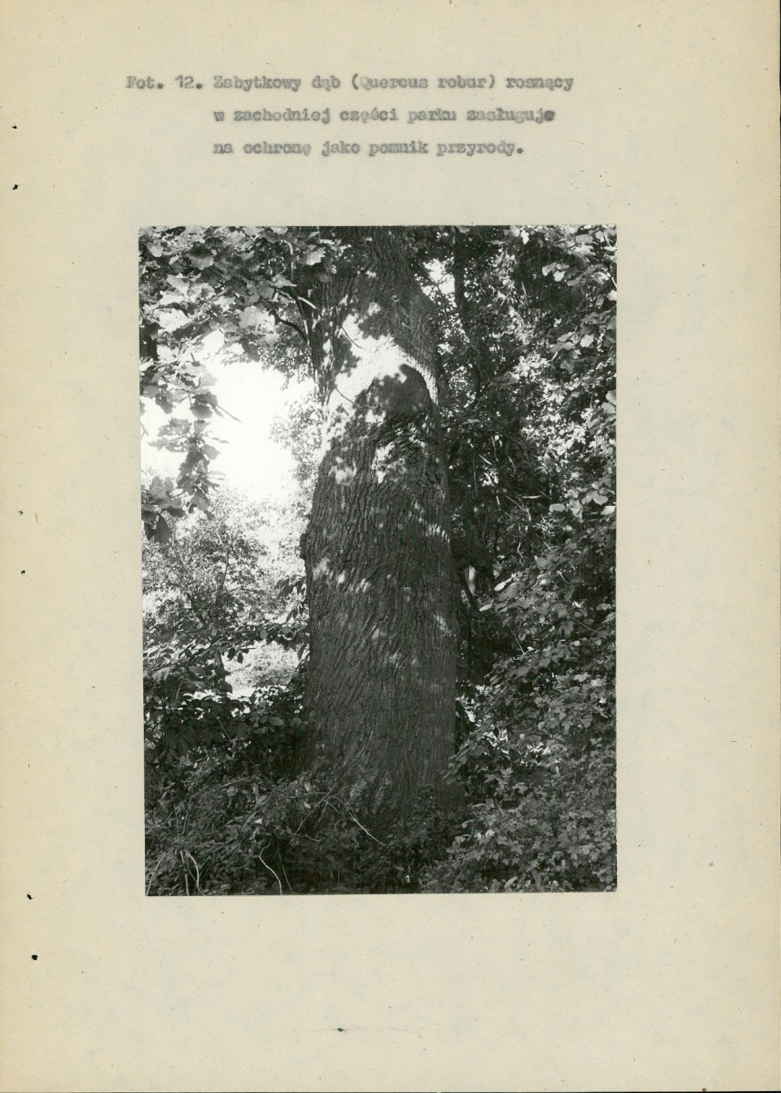 EP - Ewidencja parkowa, skan nr 73