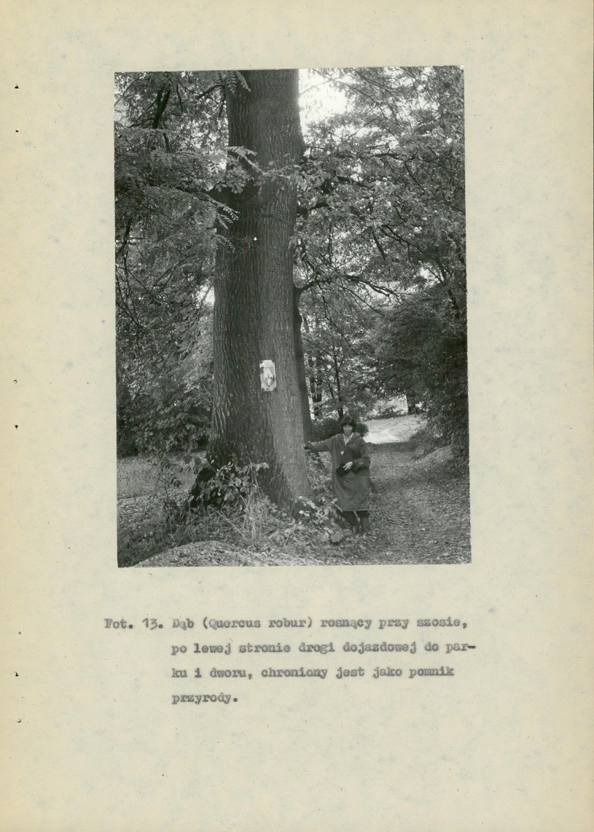 EP - Ewidencja parkowa, skan nr 74