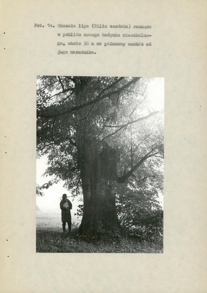 EP - Ewidencja parkowa, skan nr 75