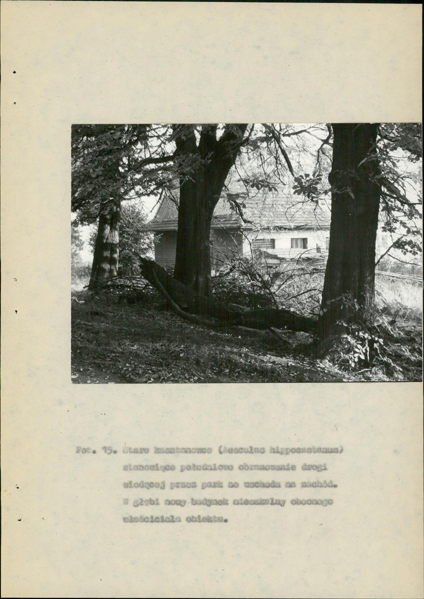 EP - Ewidencja parkowa, skan nr 76