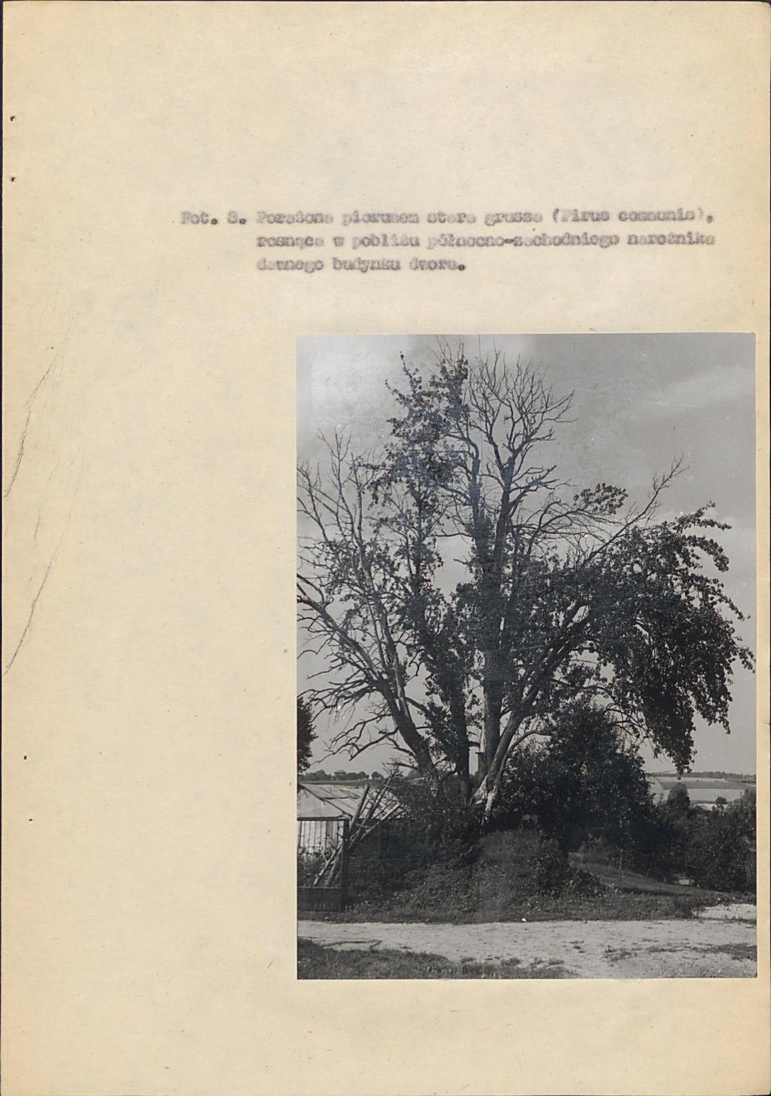 EP - Ewidencja parkowa, skan nr 28