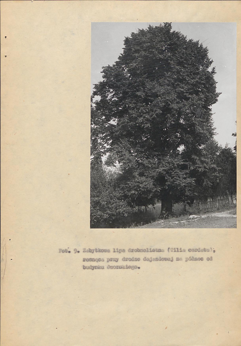 EP - Ewidencja parkowa, skan nr 29