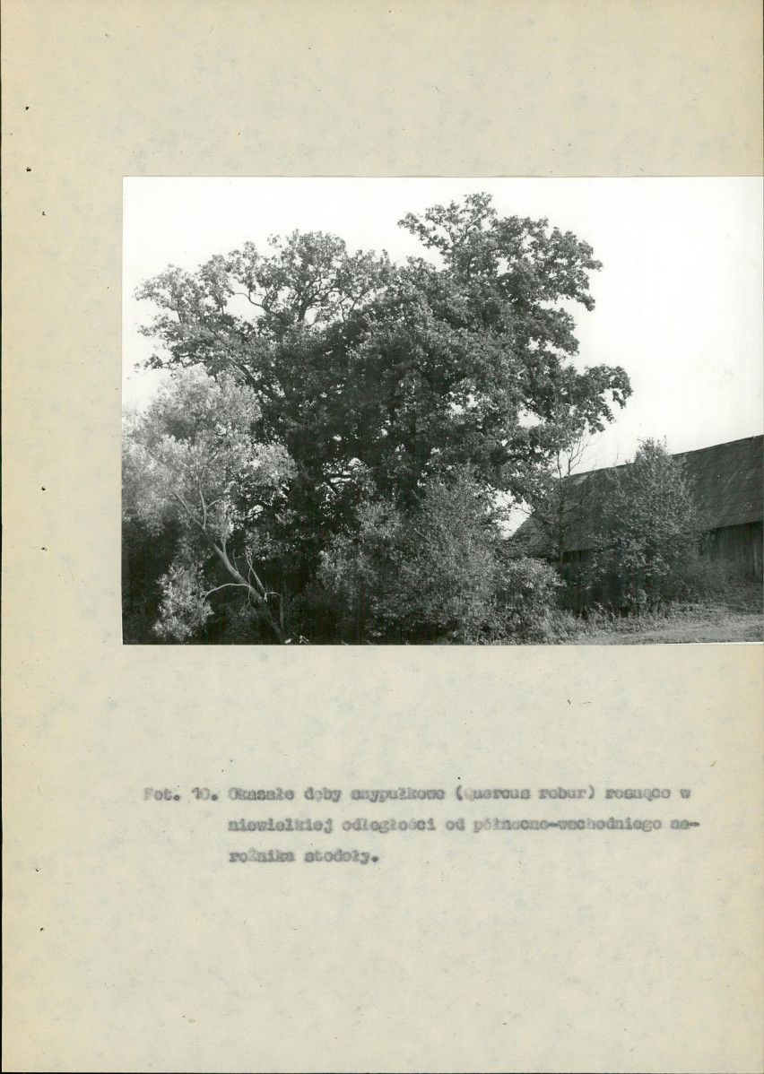 EP - Ewidencja parkowa, skan nr 41