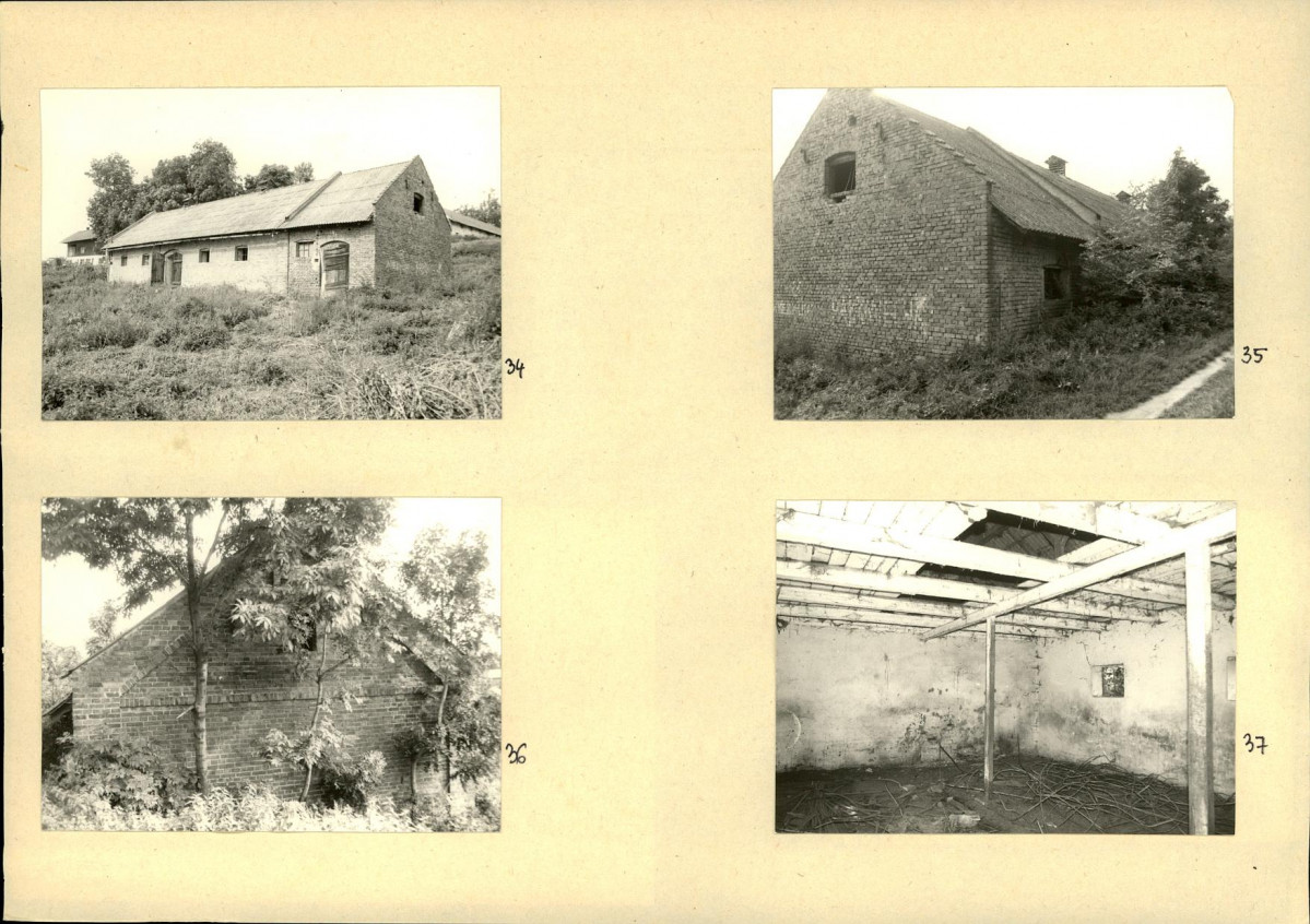 Karta biała, skan nr 19