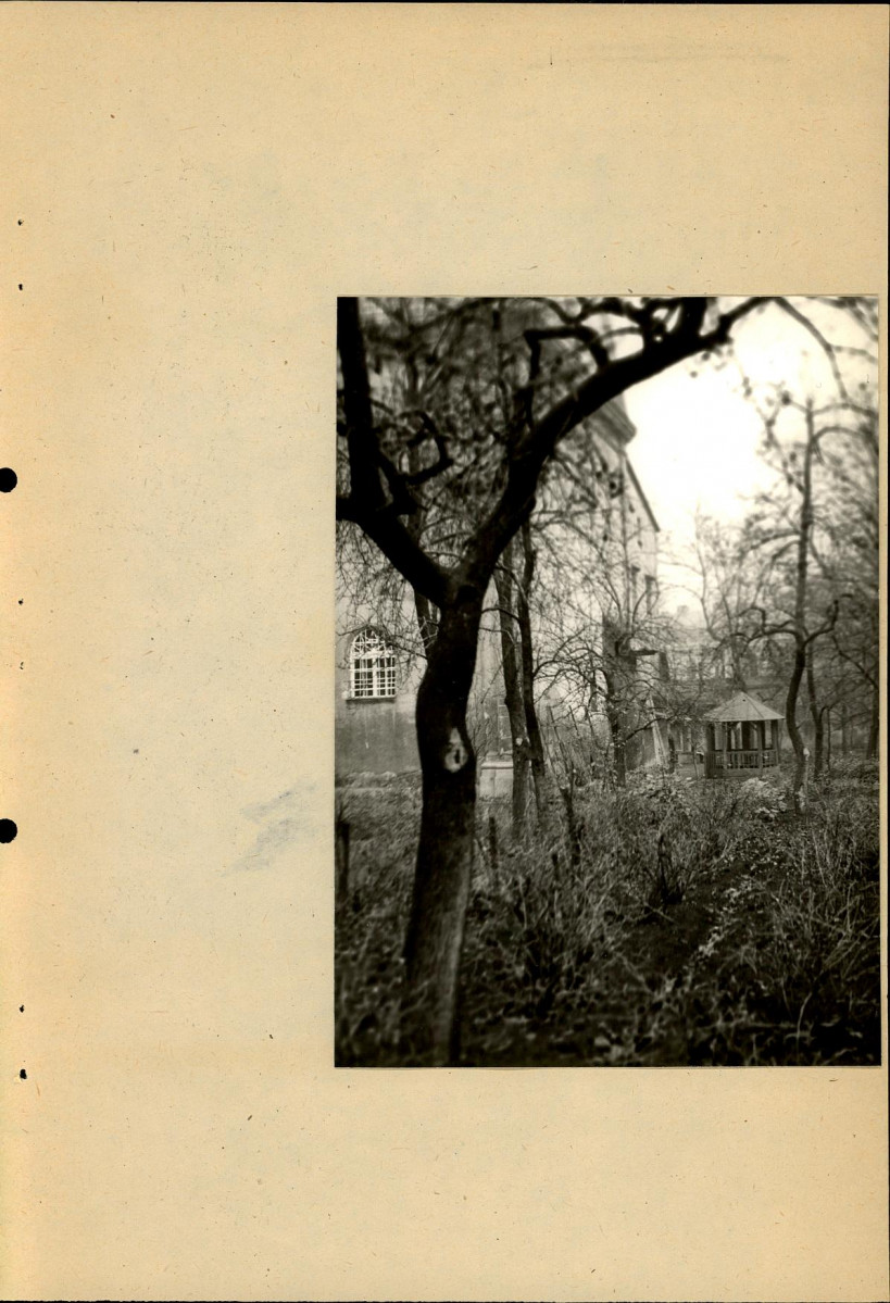 Ewidencja parkowa, skan nr 36