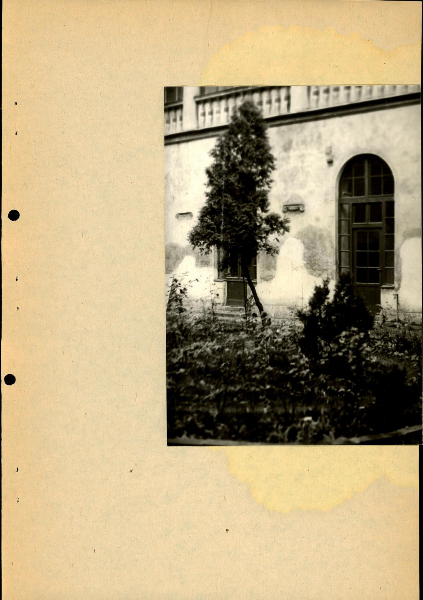 Ewidencja parkowa, skan nr 40