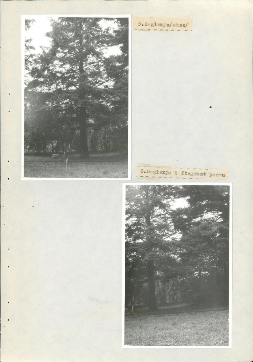 Ewidencja parkowa, skan nr 27