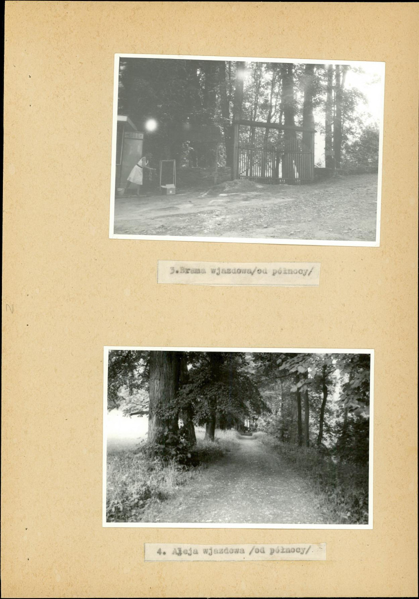 Ewidencja parkowa, skan nr 43