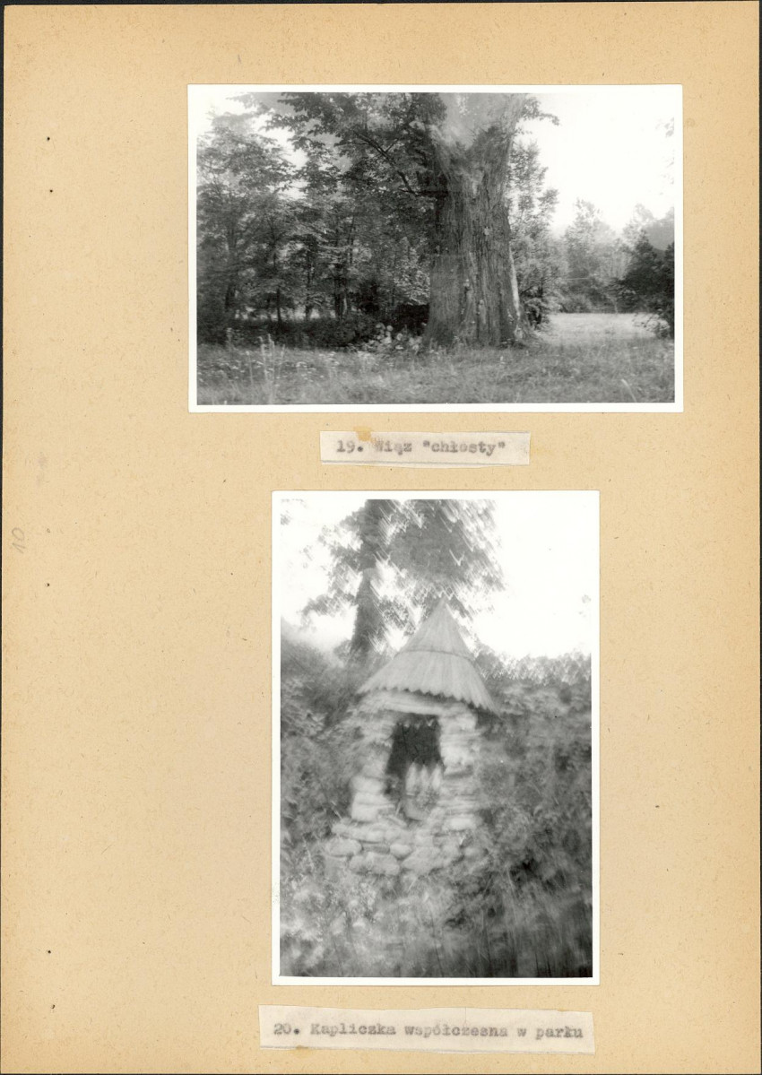 Ewidencja parkowa, skan nr 51