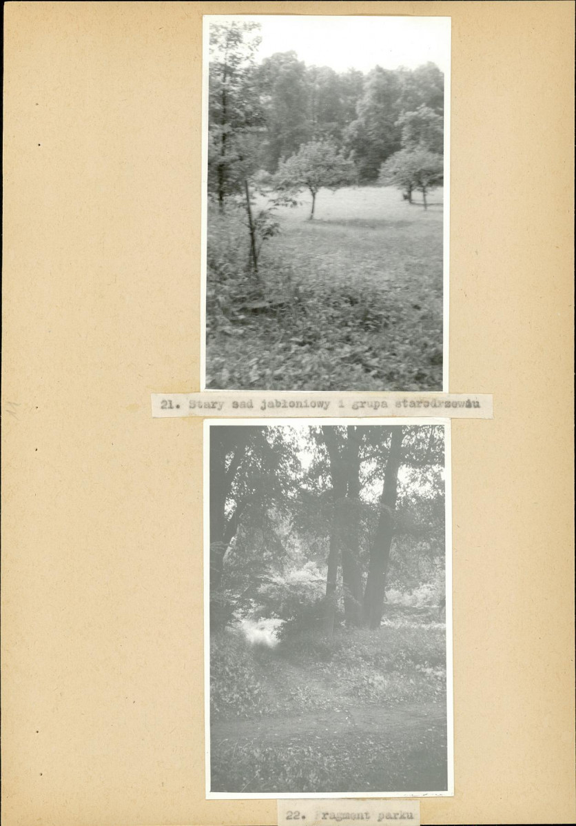 Ewidencja parkowa, skan nr 52
