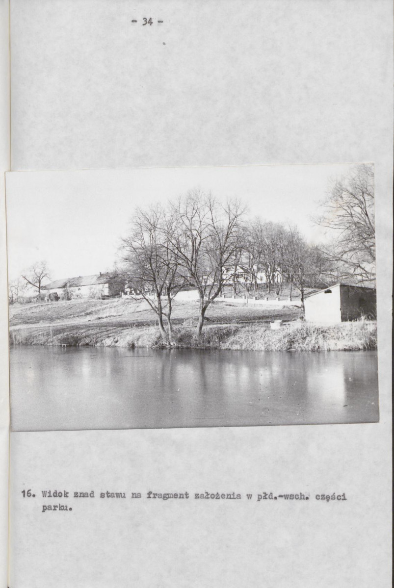 Ewidencja parkowa, skan nr 41