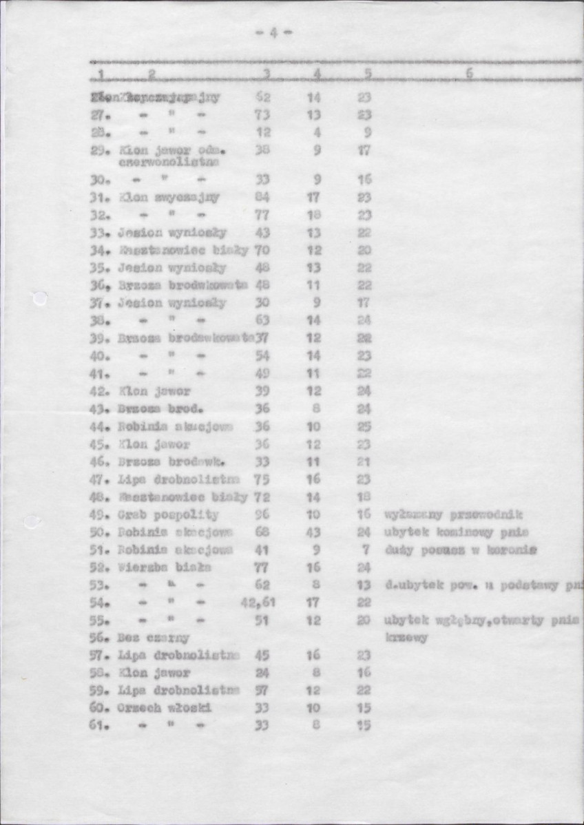 Ewidencja parkowa, skan nr 48