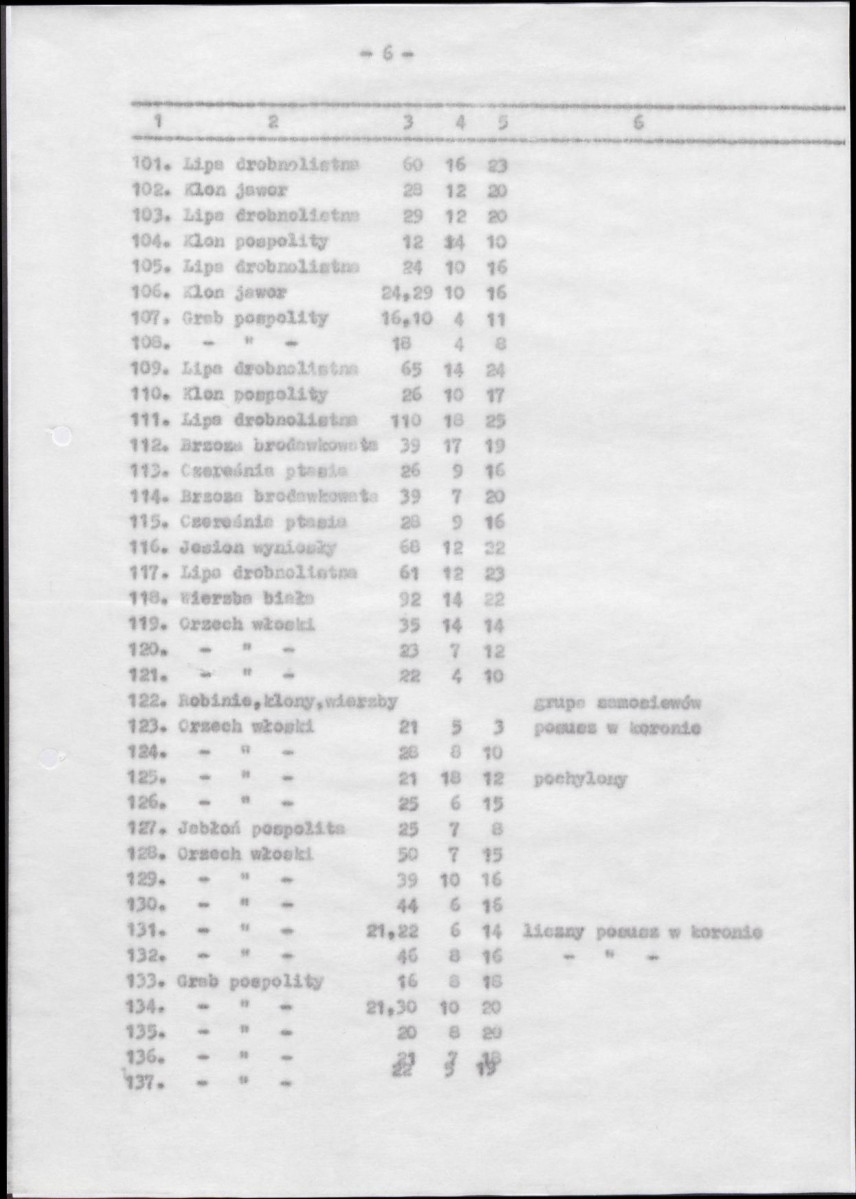 Ewidencja parkowa, skan nr 50