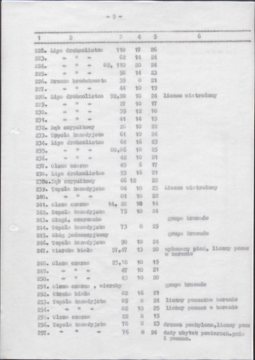 Ewidencja parkowa, skan nr 53