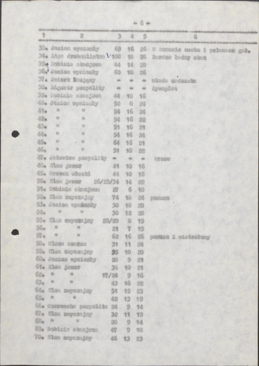 Ewidencja parkowa, skan nr 51