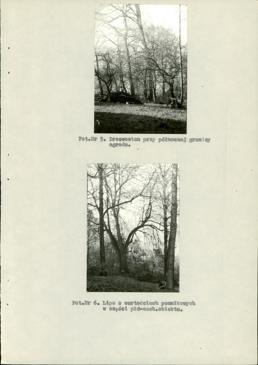 EP - Ewidencja parkowa, skan nr 31