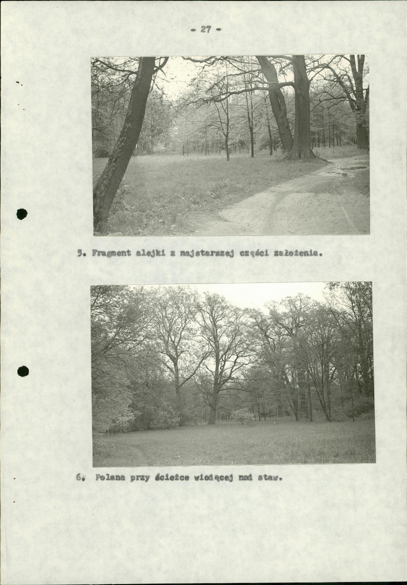 Ewidencja parkowa, skan nr 33