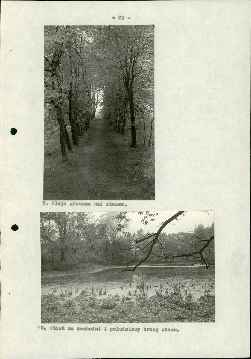 Ewidencja parkowa, skan nr 35