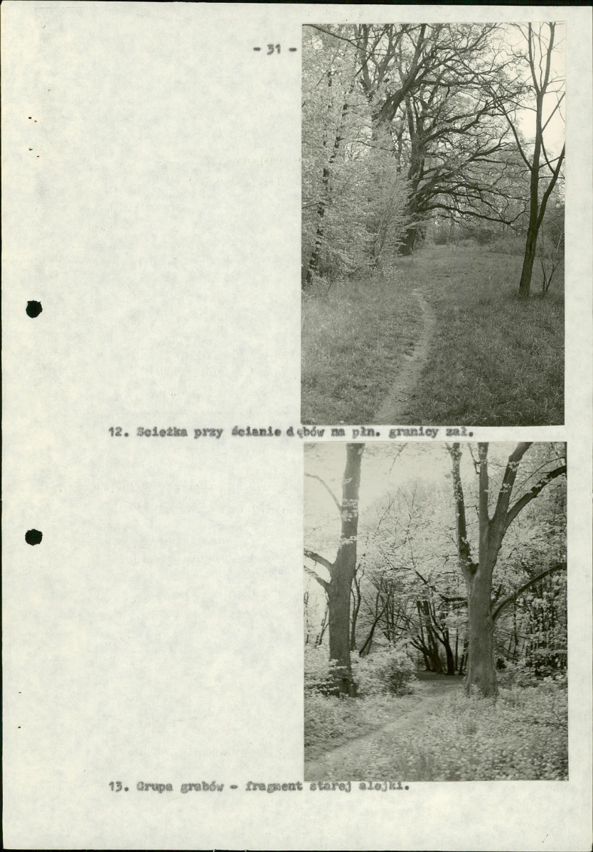 Ewidencja parkowa, skan nr 37