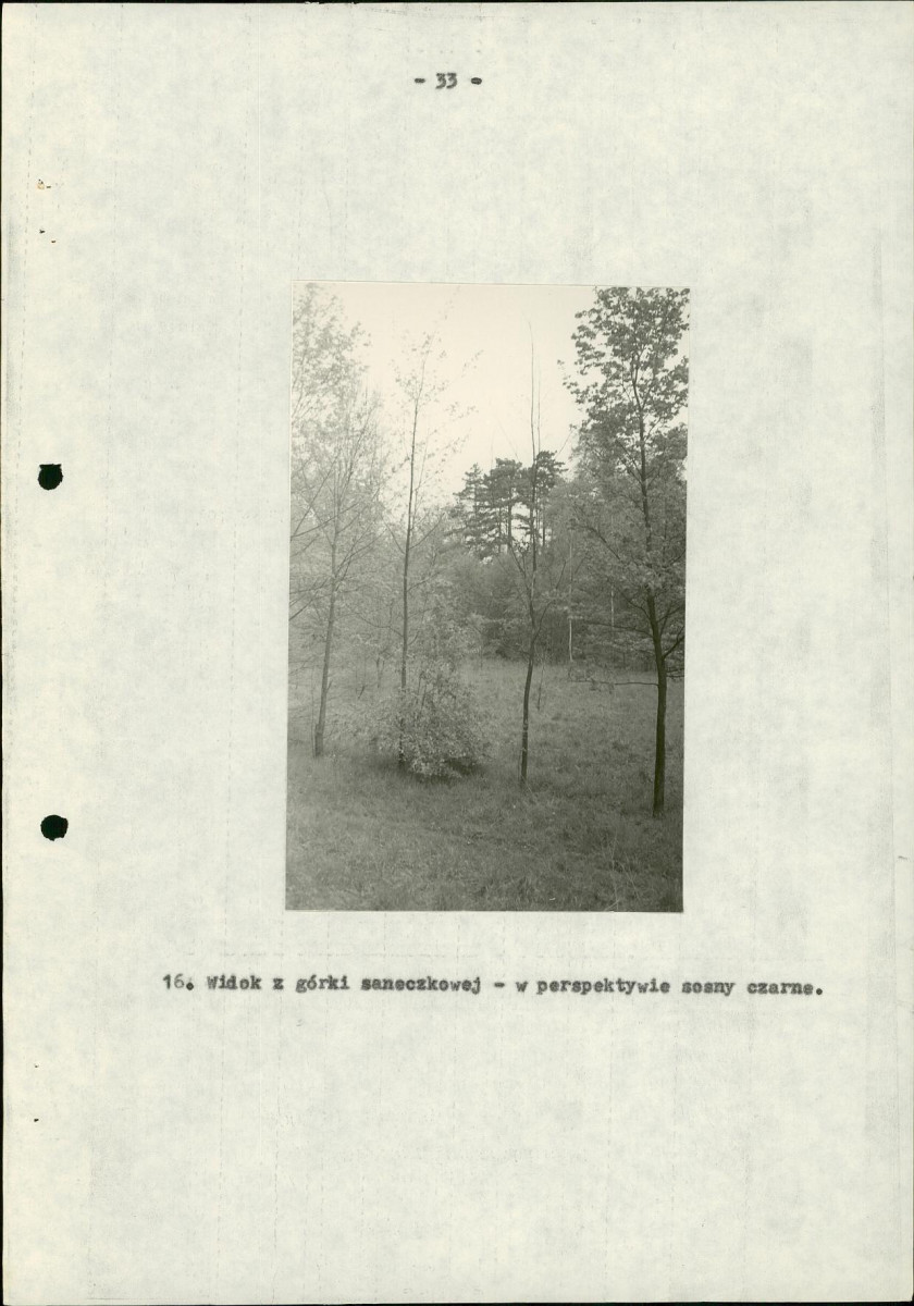 Ewidencja parkowa, skan nr 39