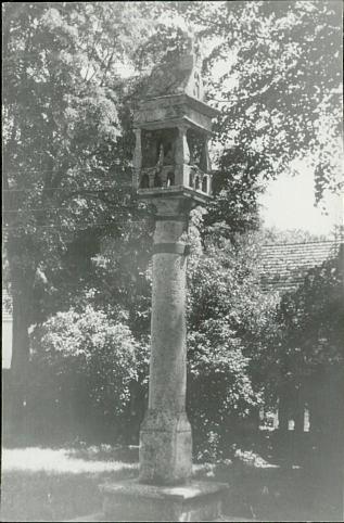 Karta zielona, skan nr 3