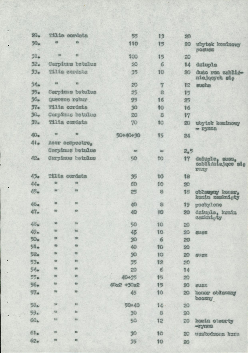 Ewidencja parkowa, skan nr 33