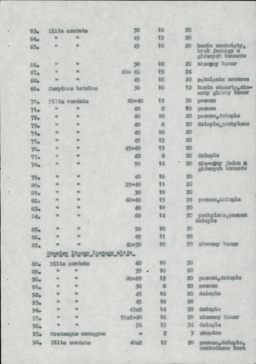 Ewidencja parkowa, skan nr 34