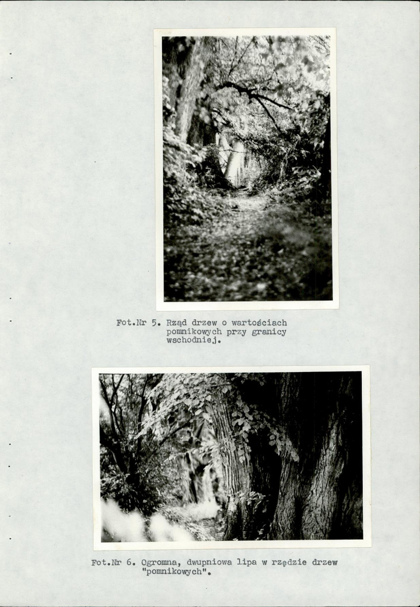 Ewidencja parkowa, skan nr 56