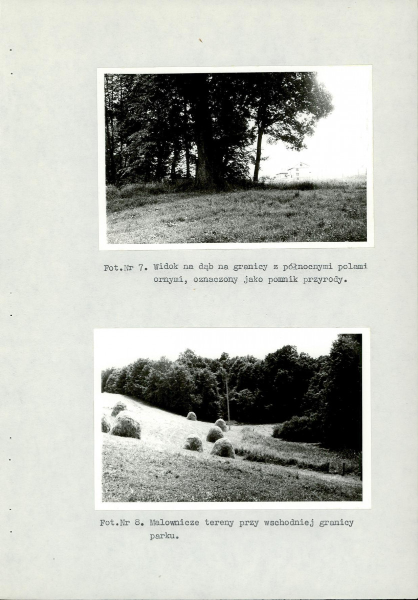 Ewidencja parkowa, skan nr 57