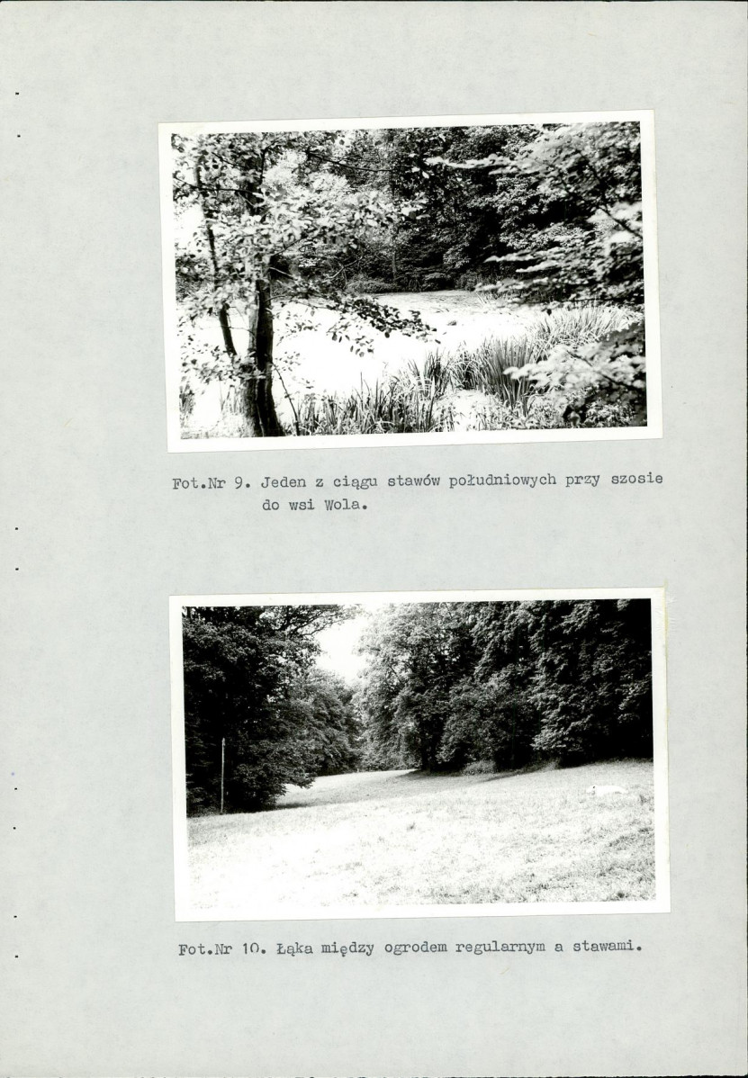Ewidencja parkowa, skan nr 58