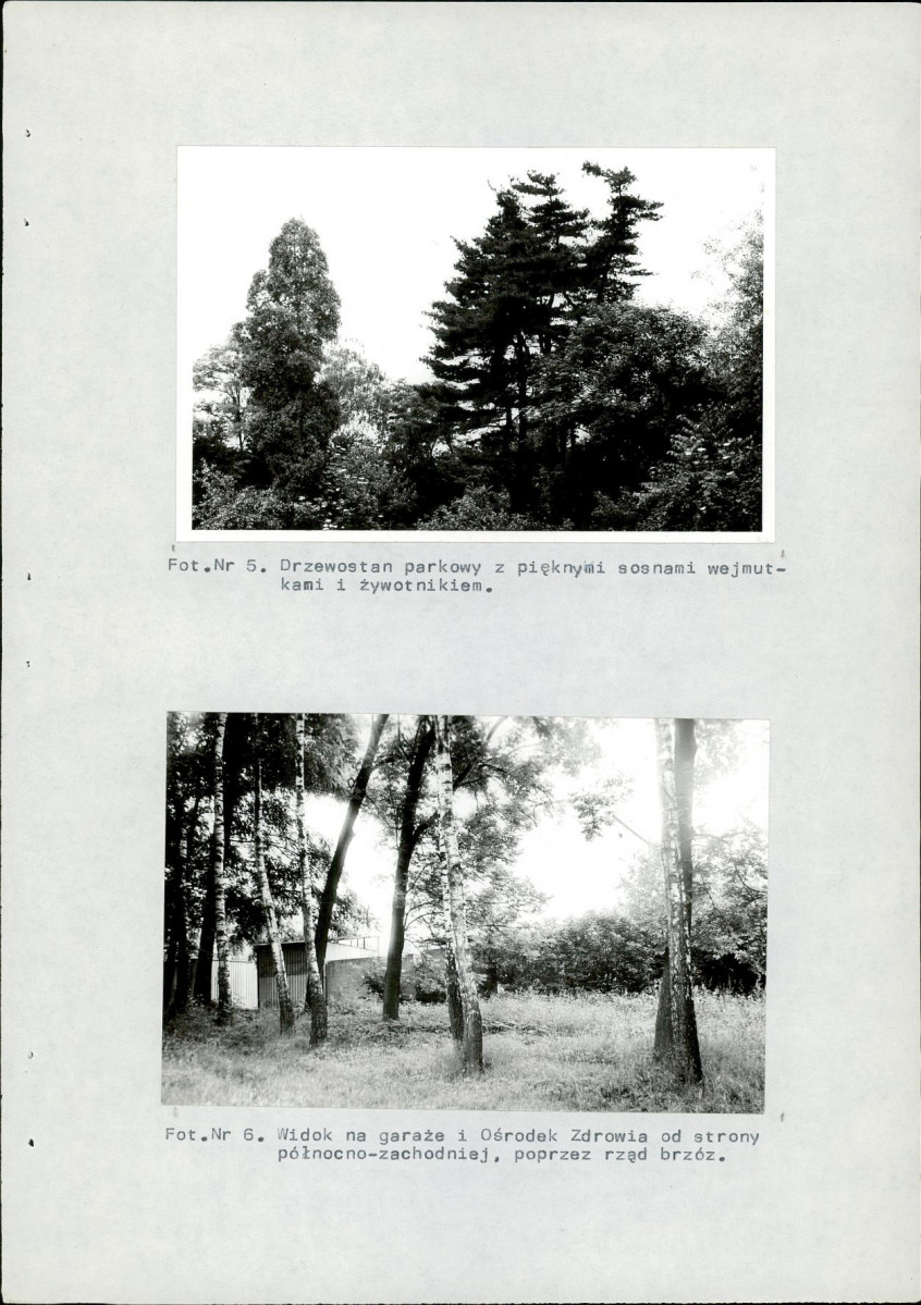 Ewidencja parkowa, skan nr 26