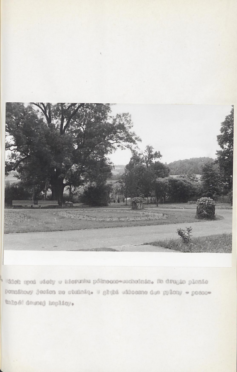 Ewidencja parkowa, skan nr 31