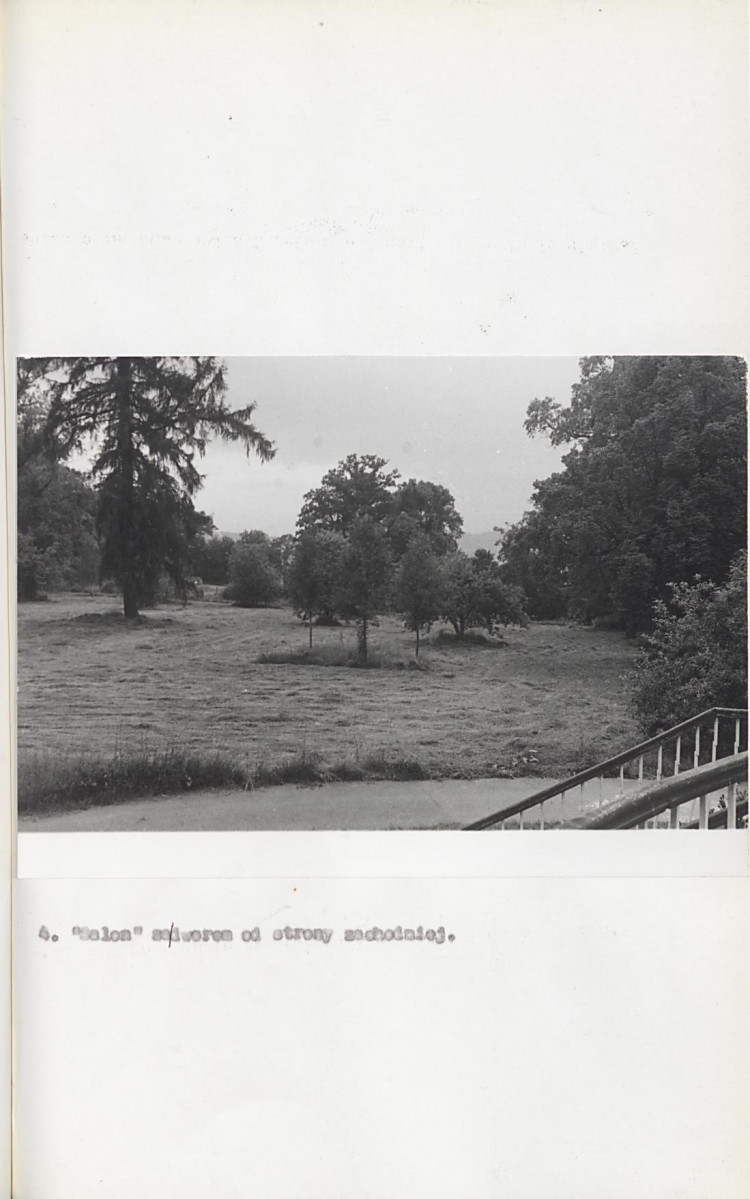 Ewidencja parkowa, skan nr 33