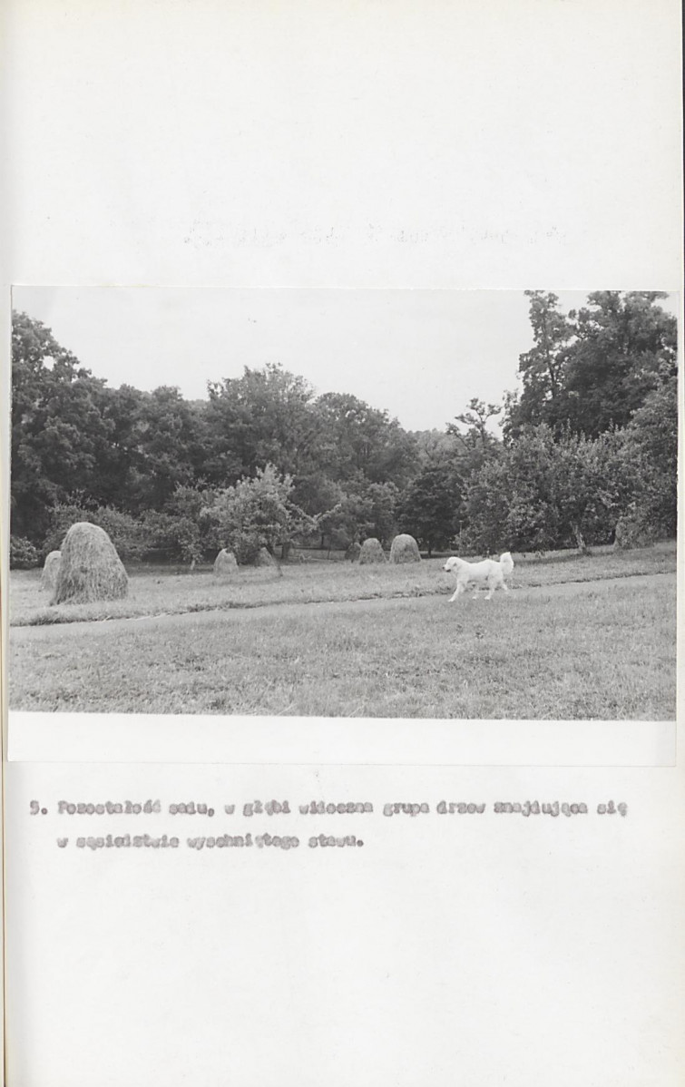 Ewidencja parkowa, skan nr 34