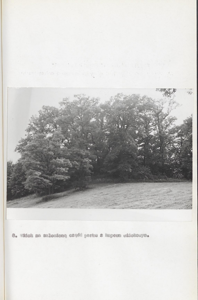 Ewidencja parkowa, skan nr 37
