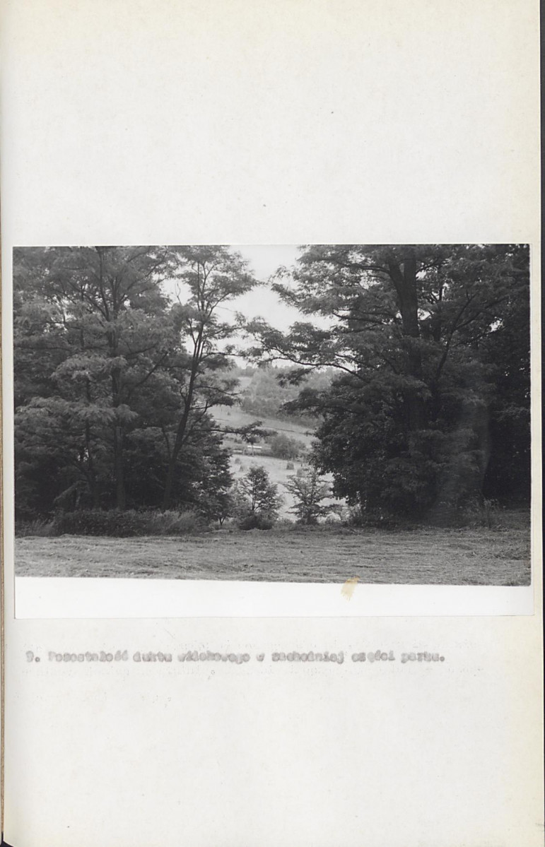 Ewidencja parkowa, skan nr 38