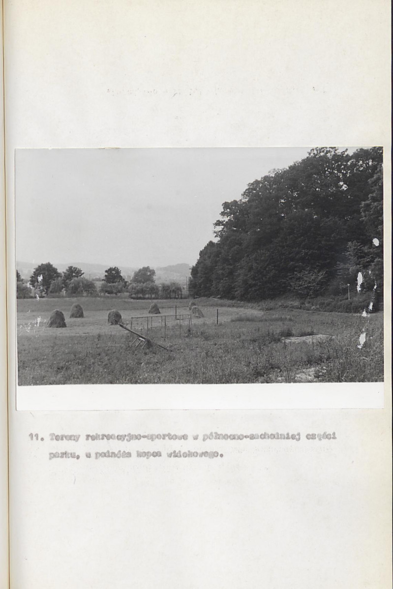 Ewidencja parkowa, skan nr 40