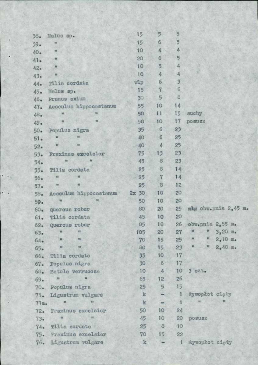 Ewidencja parkowa, skan nr 34