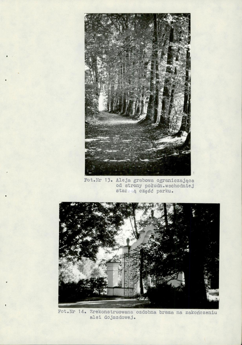 Ewidencja parkowa, skan nr 39