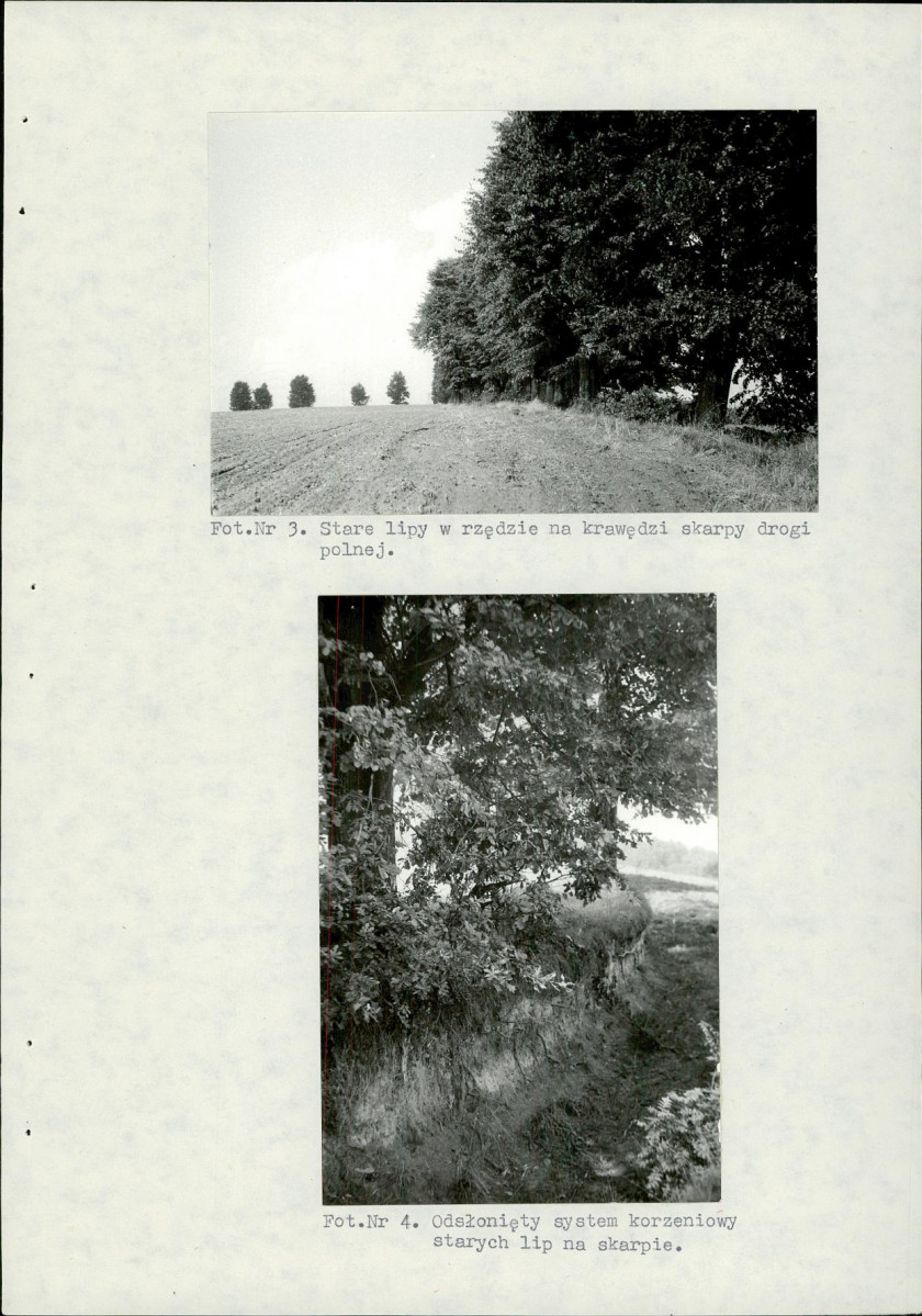 Ewidencja parkowa, skan nr 26