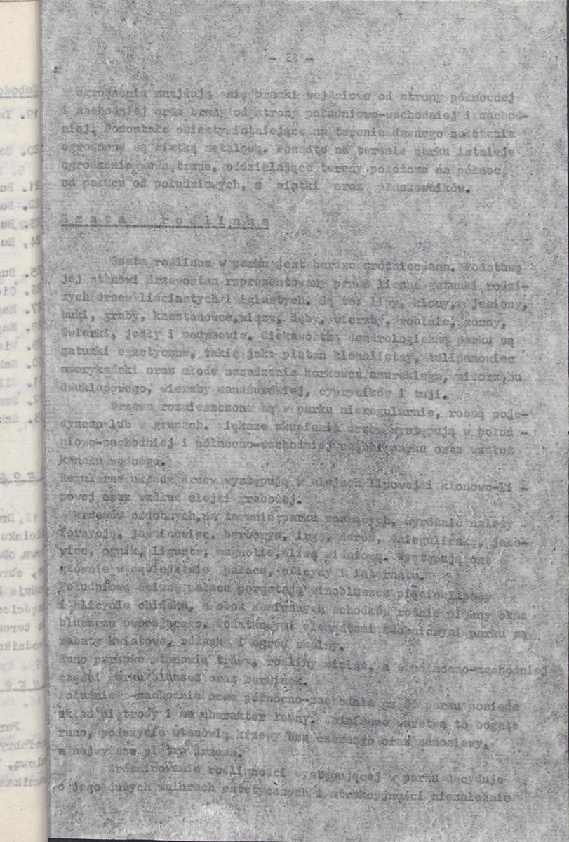 Ewidencja parkowa, skan nr 28