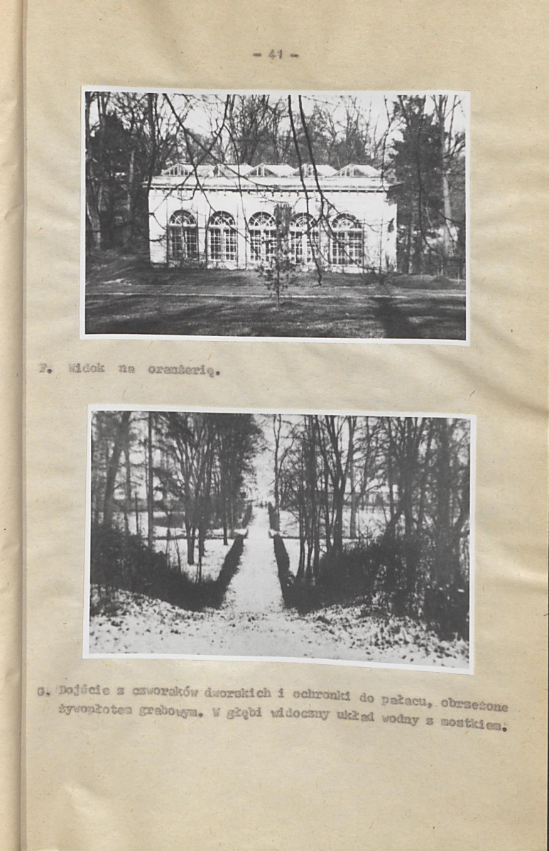 Ewidencja parkowa, skan nr 48