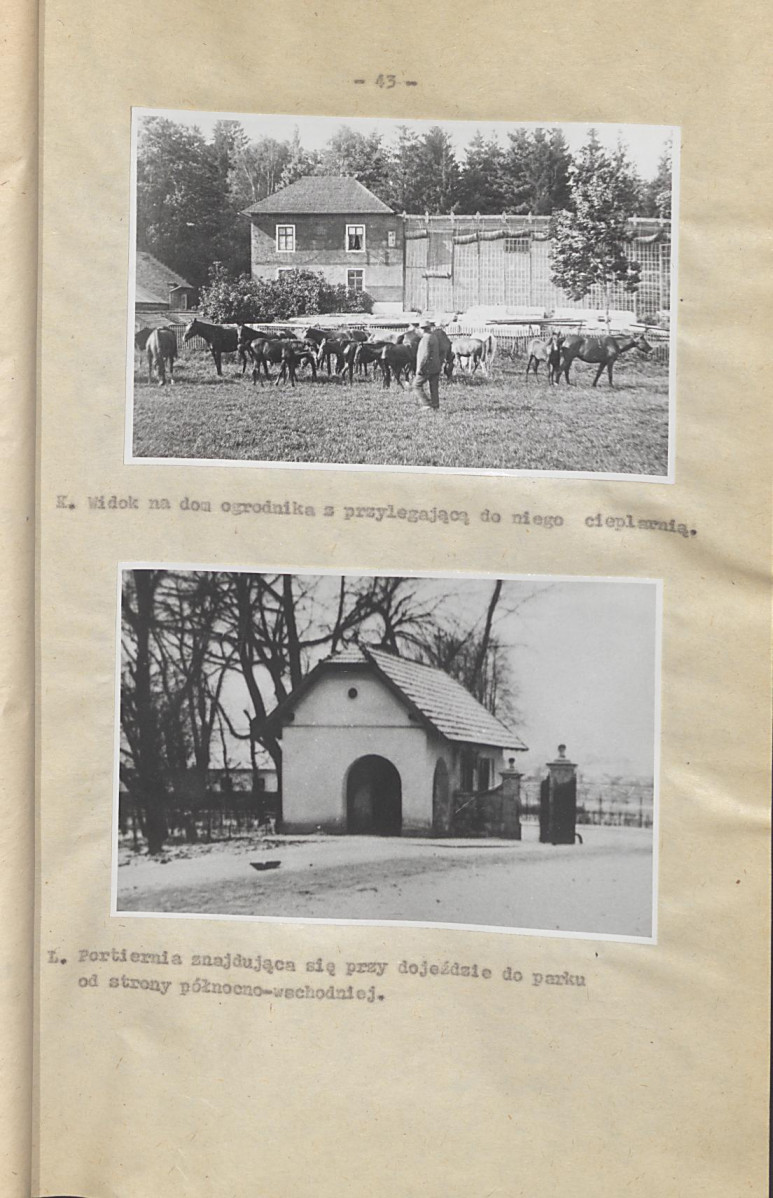 Ewidencja parkowa, skan nr 50