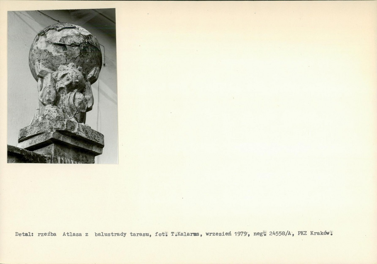 Karta biała, skan nr 6