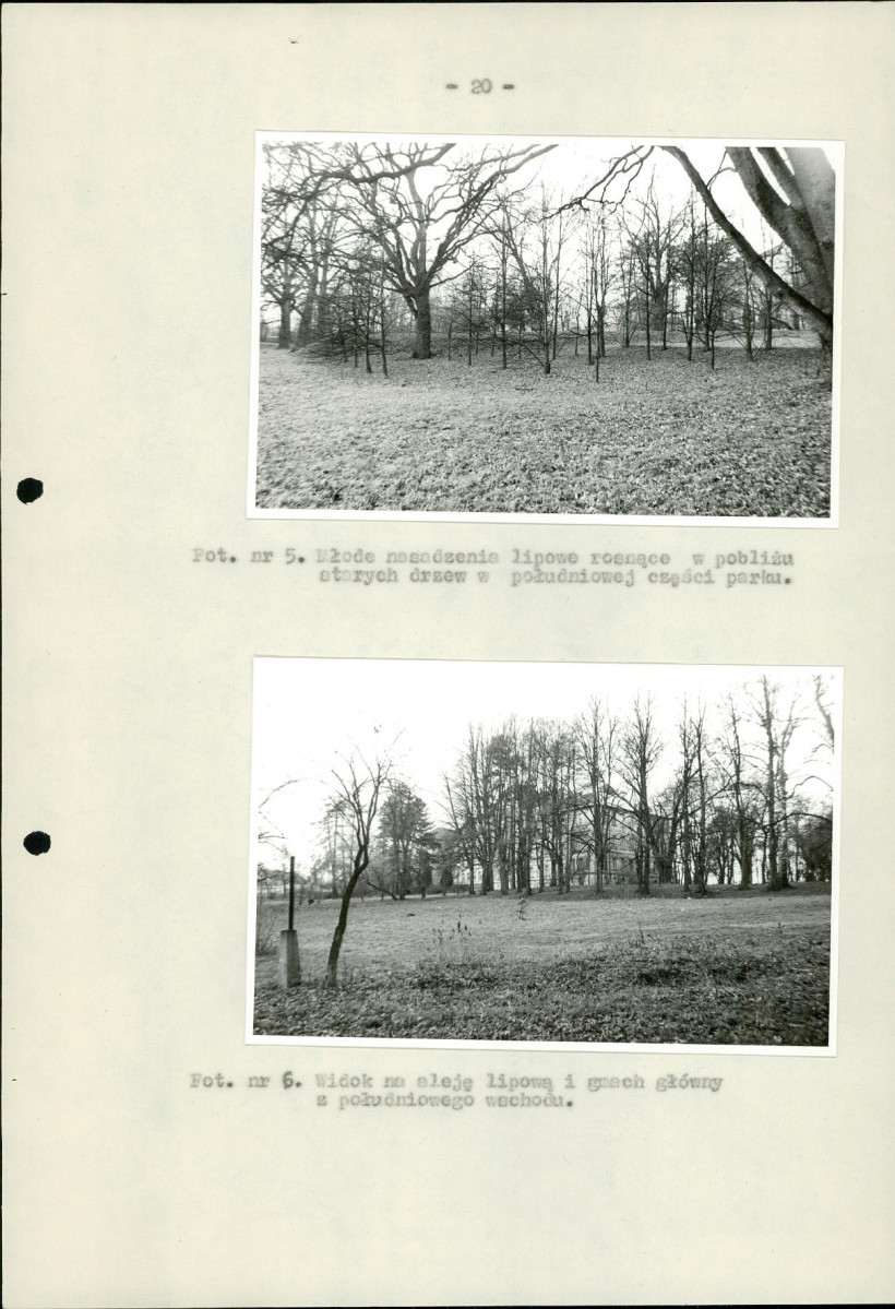 Ewidencja parkowa, skan nr 25