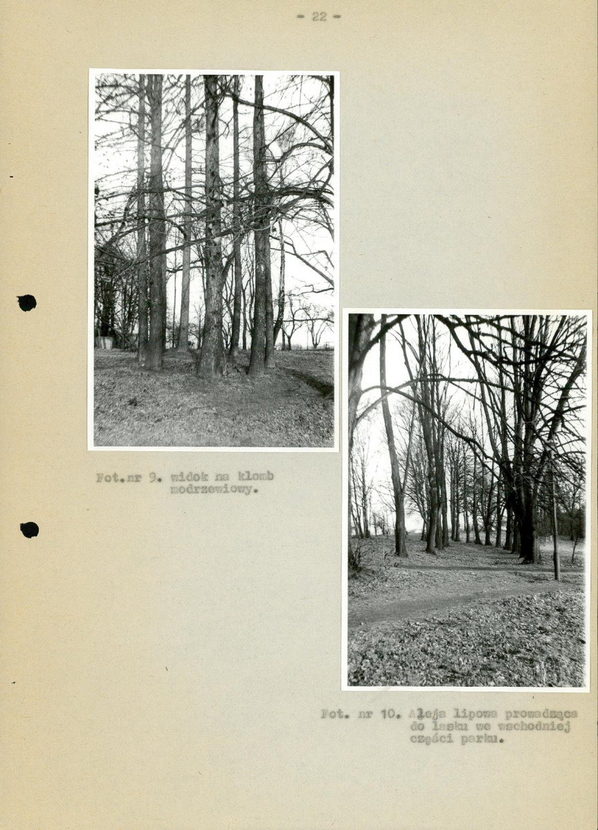 Ewidencja parkowa, skan nr 27