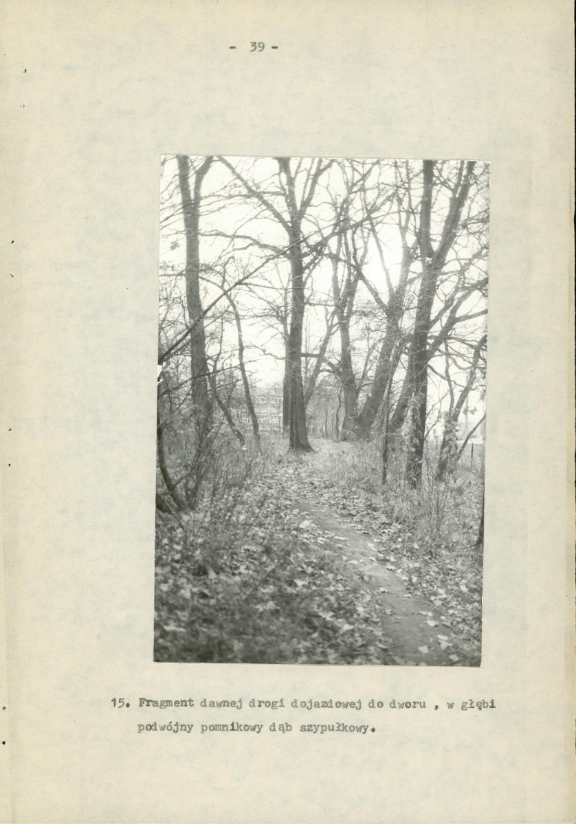 Ewidencja parkowa, skan nr 44