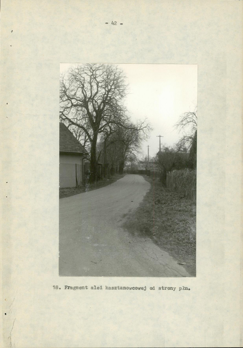 Ewidencja parkowa, skan nr 47