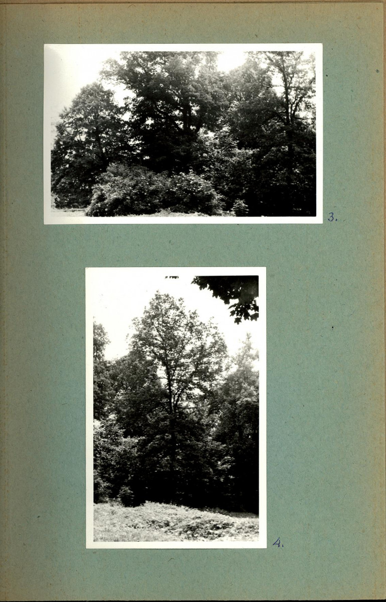 Ewidencja parkowa, skan nr 20