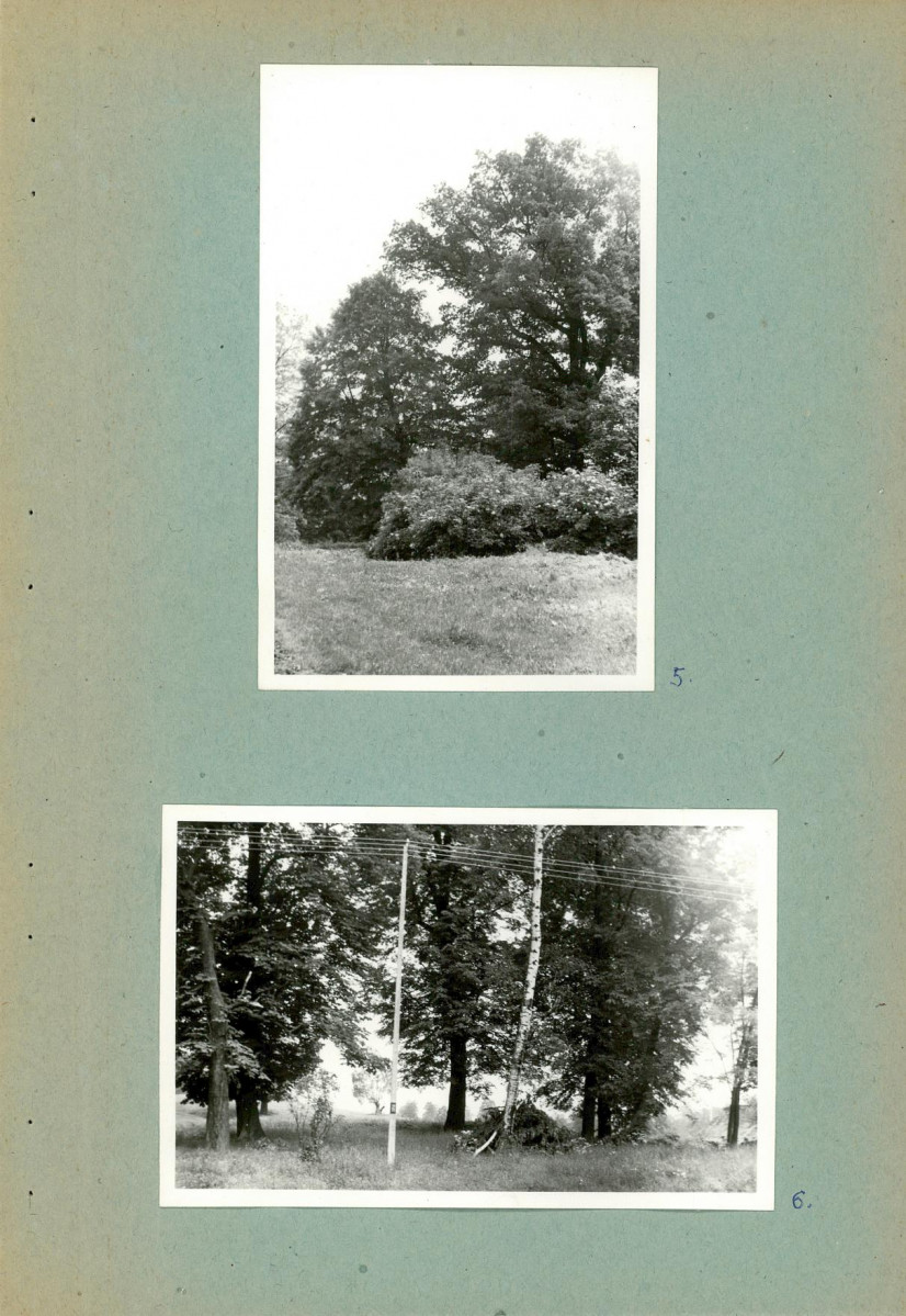 Ewidencja parkowa, skan nr 21